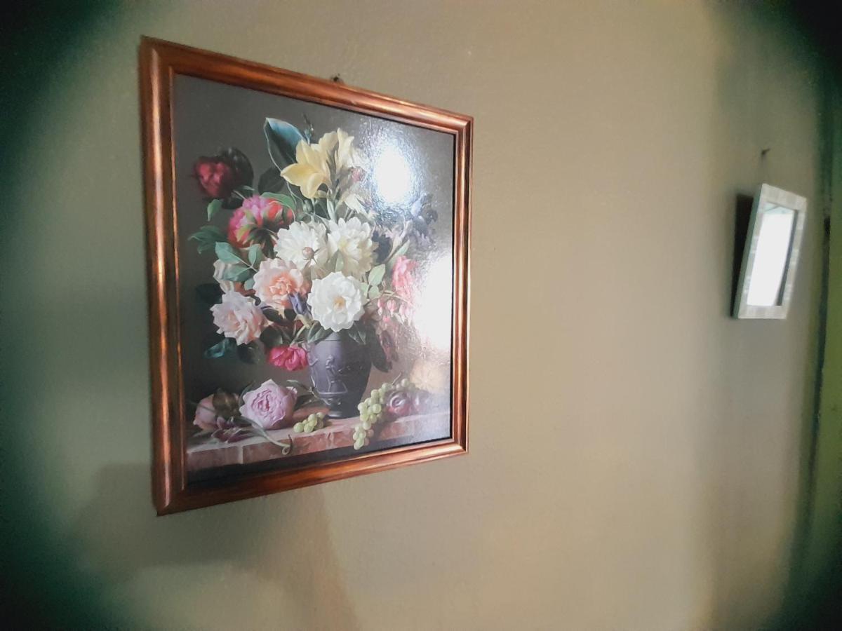 פוארטו איגואסו Hostal Sol Iguazu מראה חיצוני תמונה